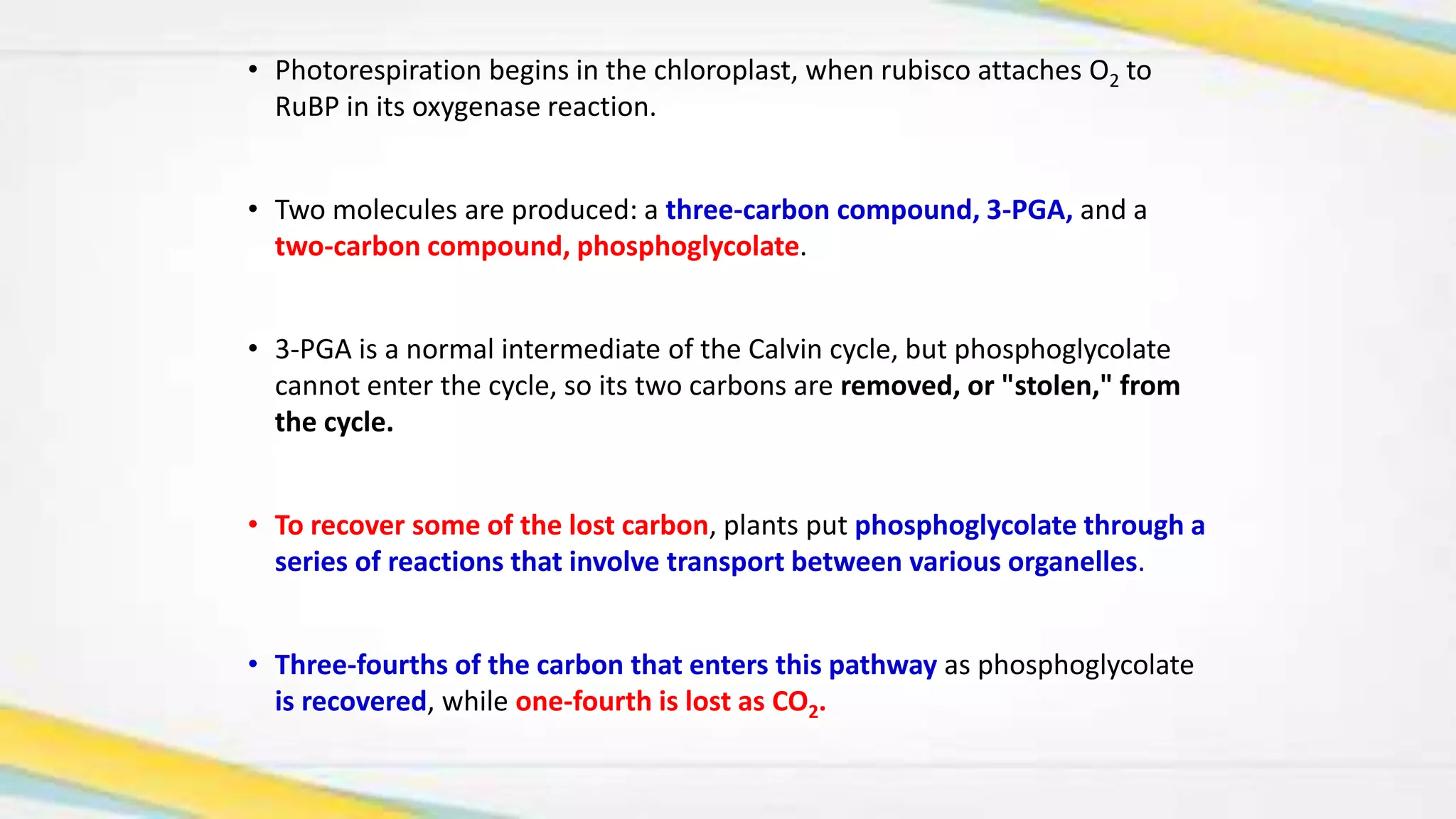 Photorespiration | PPTX
