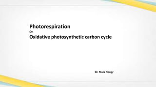 Photorespiration
Or
Oxidative photosynthetic carbon cycle
Dr. Mala Neogy
 