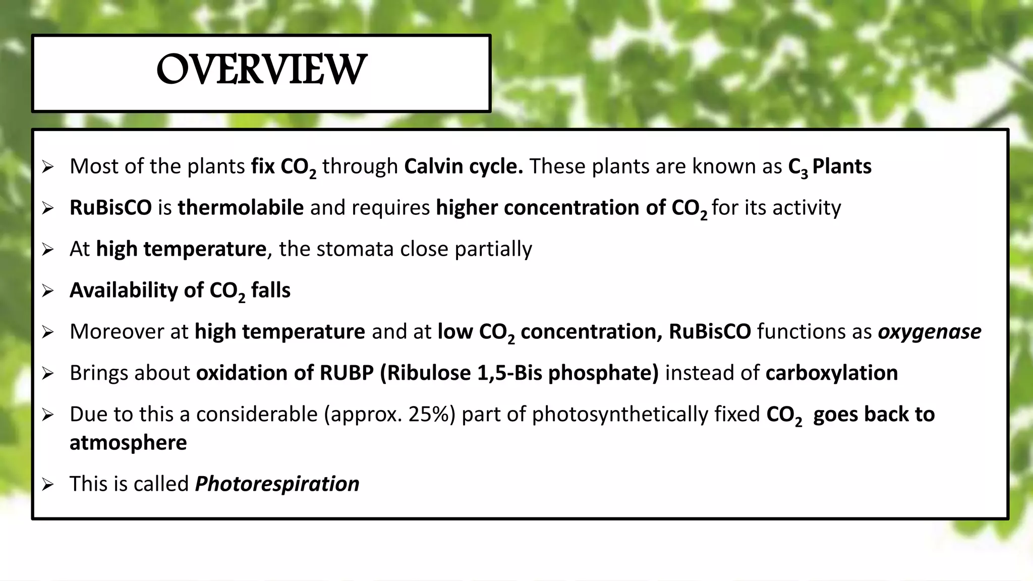Photorespiration, C2 cycle, Glycolate Pathway | PPTX