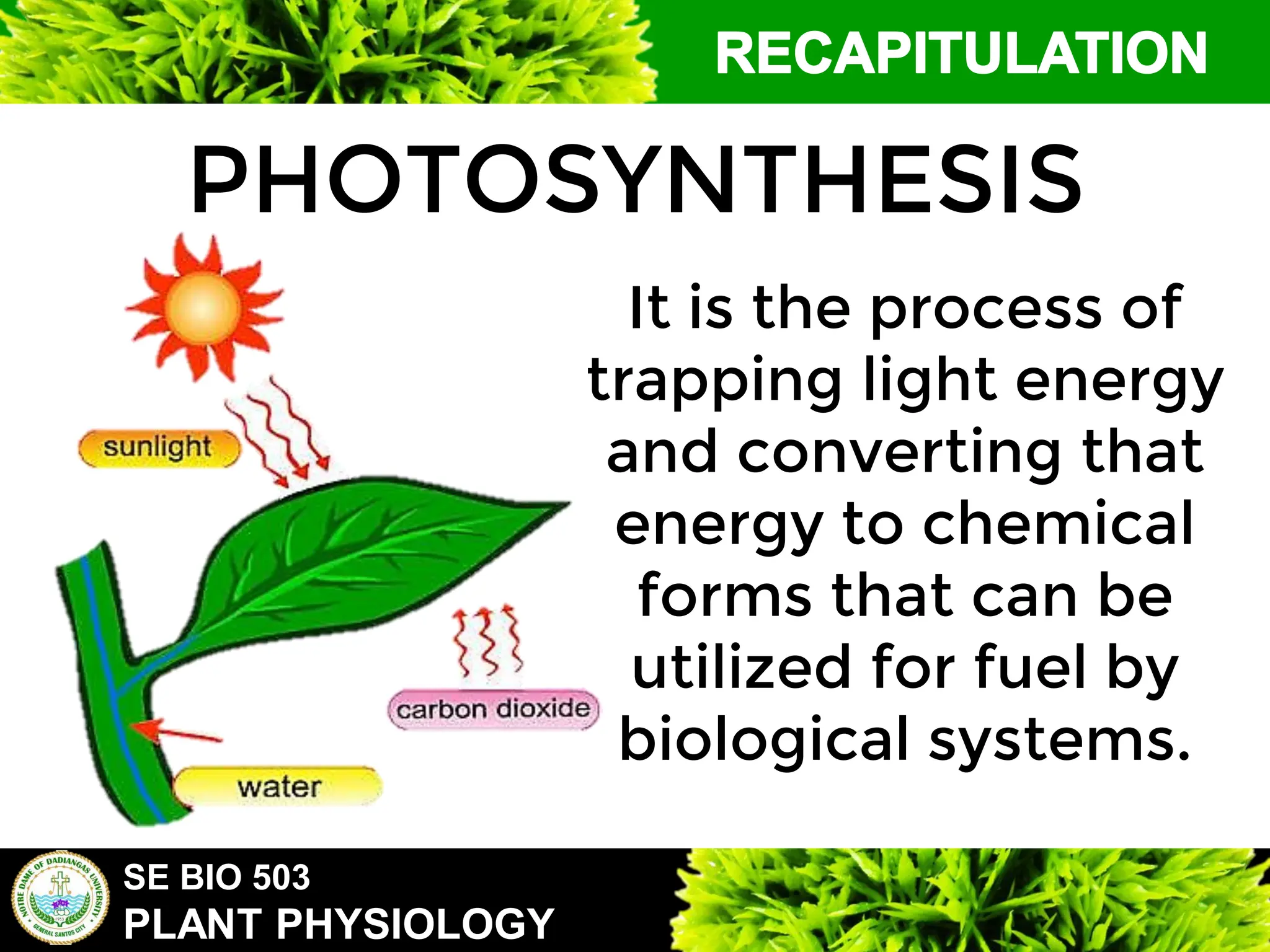 SE BIO 503
PLANT PHYSIOLOGY
PHOTOSYNTHESIS
It is the process of
trapping light energy
and converting that
energy to chemical
forms that can be
utilized for fuel by
biological systems.
 