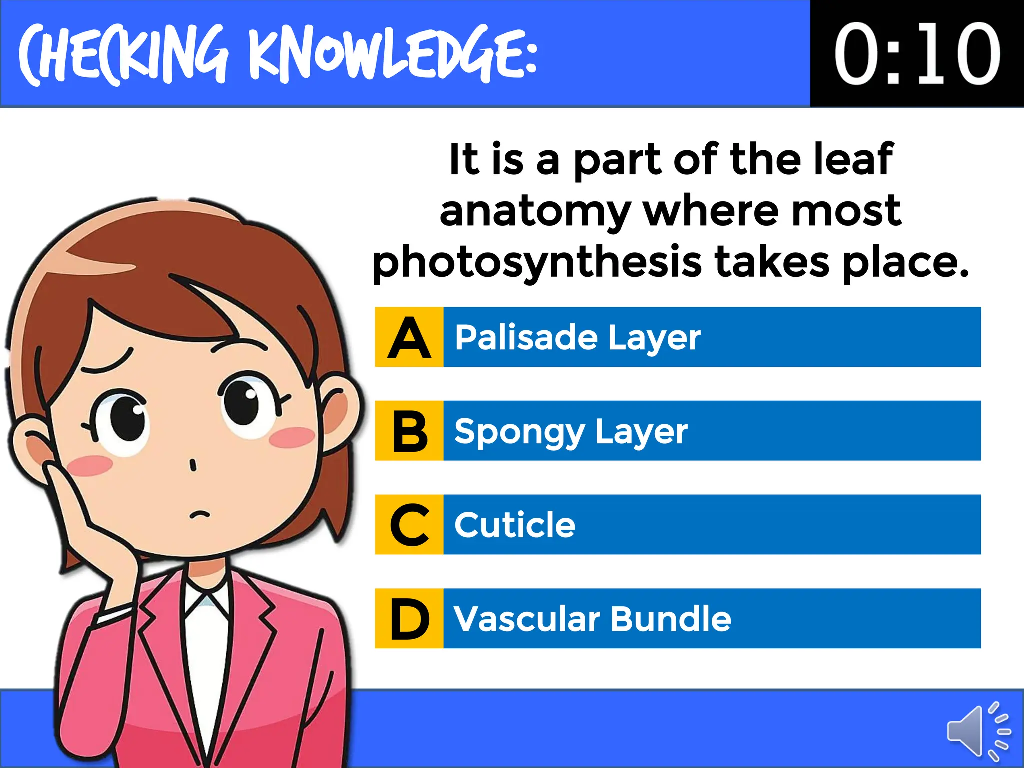 Checking Knowledge:
It is a part of the leaf
anatomy where most
photosynthesis takes place.
Palisade Layer
A
Spongy Layer
B
Cuticle
C
Vascular Bundle
D
 