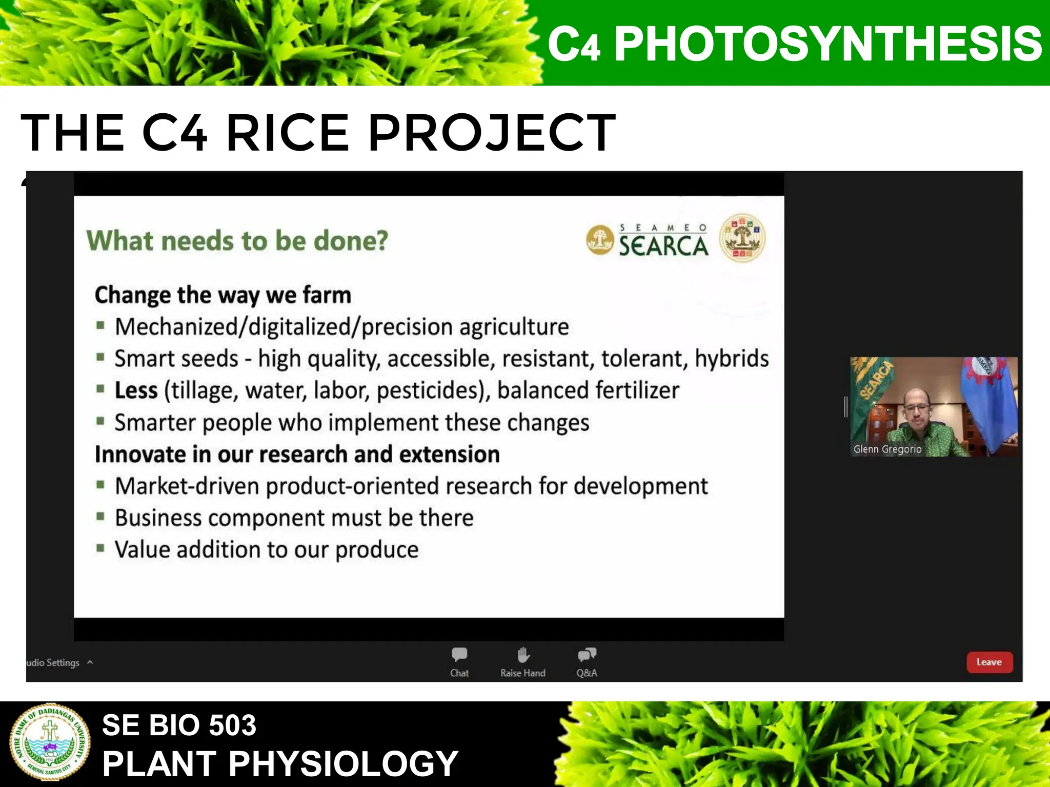 SE BIO 503
PLANT PHYSIOLOGY
THE C4 RICE PROJECT
?
 