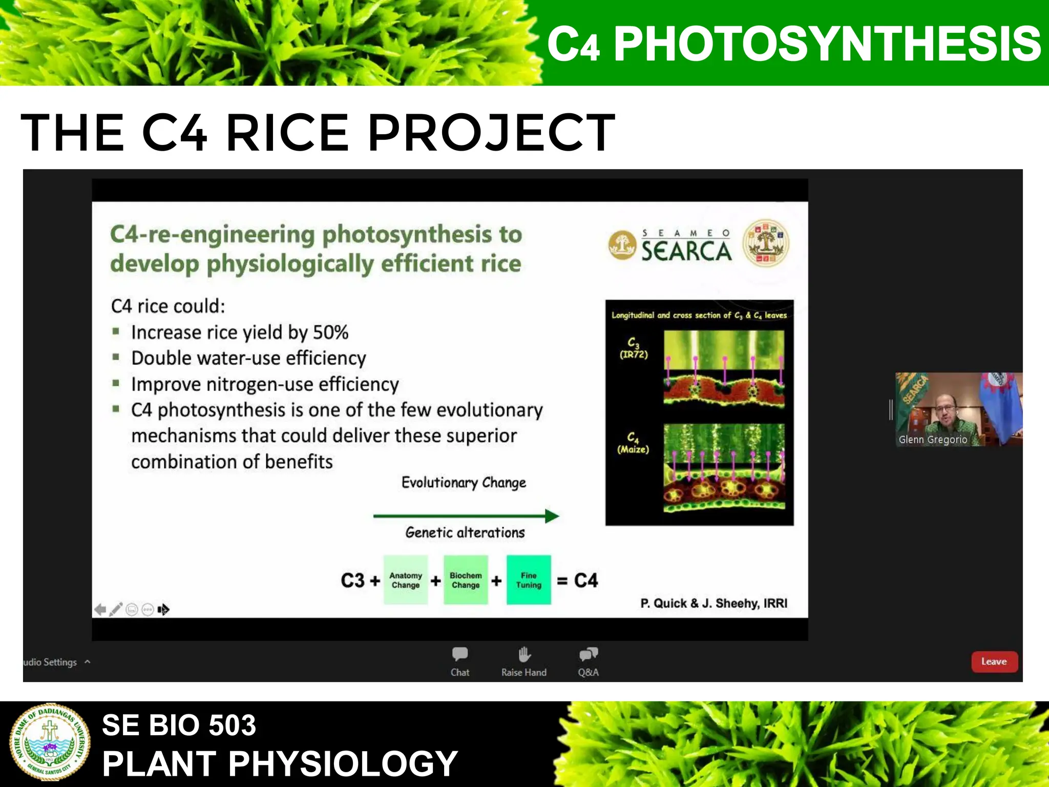 SE BIO 503
PLANT PHYSIOLOGY
THE C4 RICE PROJECT
 