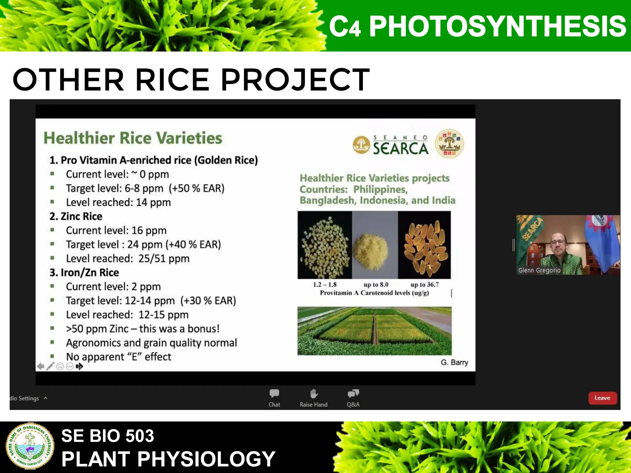 SE BIO 503
PLANT PHYSIOLOGY
OTHER RICE PROJECT
 