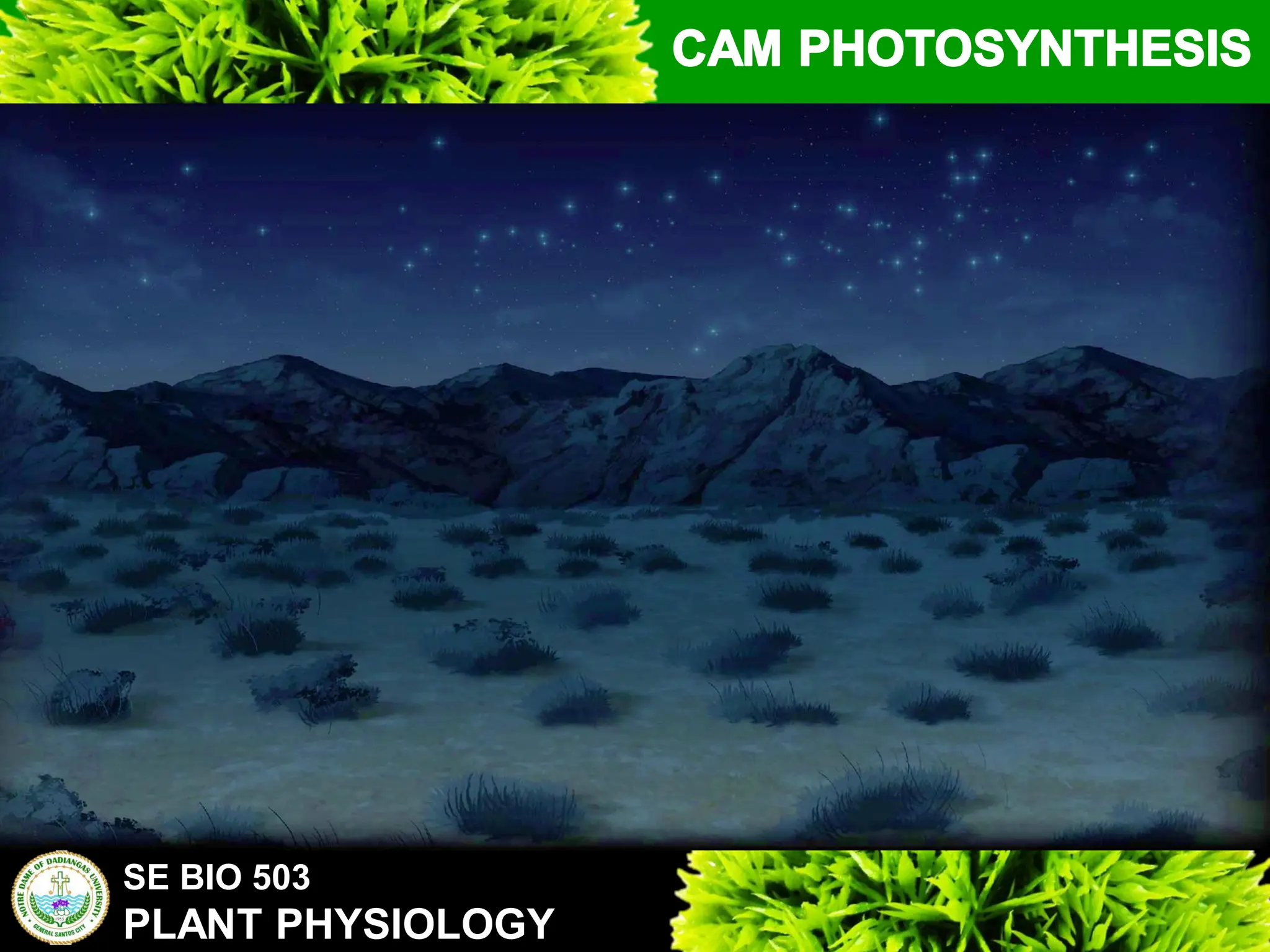 SE BIO 503
PLANT PHYSIOLOGY
 