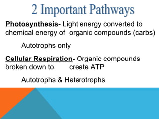 Photosynthesis- Light energy converted to
chemical energy of organic compounds (carbs)
Autotrophs only
Cellular Respiration- Organic compounds
broken down to create ATP
Autotrophs & Heterotrophs