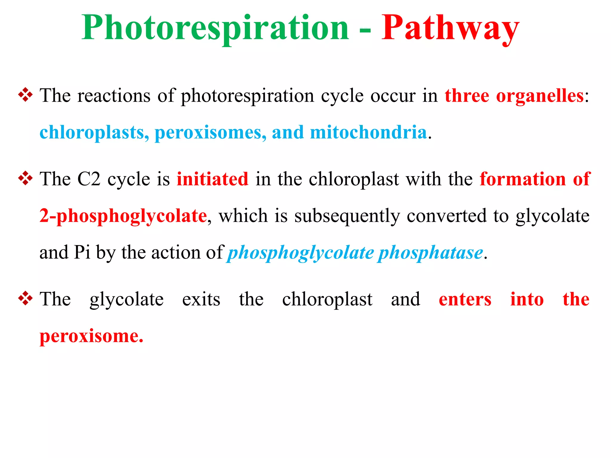 Photorespiration - Pathway
 The reactions of photorespiration cycle occur in three organelles:
chloroplasts, peroxisomes, and mitochondria.
 The C2 cycle is initiated in the chloroplast with the formation of
2-phosphoglycolate, which is subsequently converted to glycolate
and Pi by the action of phosphoglycolate phosphatase.
 The glycolate exits the chloroplast and enters into the
peroxisome.
 