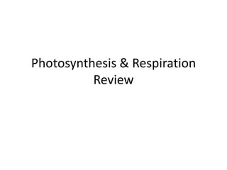 Photosynthesis & Respiration
          Review
 