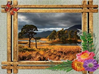 Photos 110208145628-phpapp02