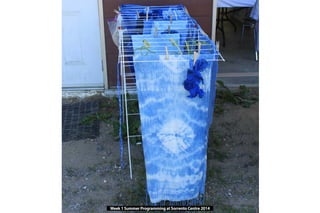 Week 1 Summer Programming at Sorrento Centre 2014
 