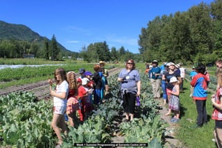Week 1 Summer Programming at Sorrento Centre 2014
 
