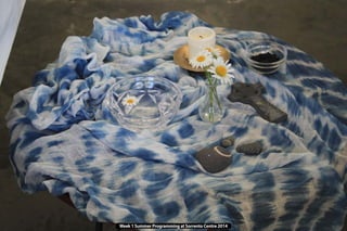 Week 1 Summer Programming at Sorrento Centre 2014
 