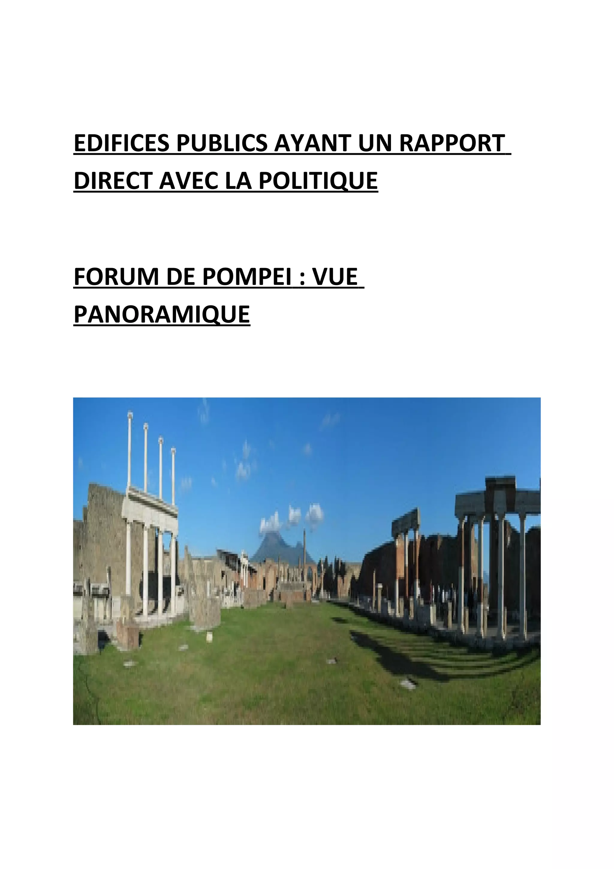 EDIFICES PUBLICS AYANT UN RAPPORT
DIRECT AVEC LA POLITIQUE
FORUM DE POMPEI : VUE
PANORAMIQUE