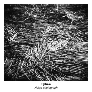 Tybee Holga photograph 