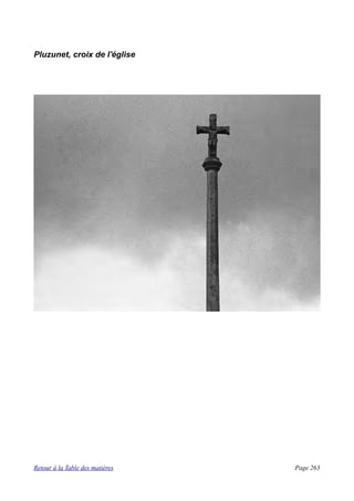 Pluzunet, croix de l'église
Retour à la Table des matières Page 263
 