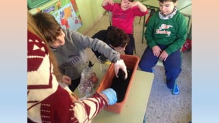 Photos 2nd term 2ºB