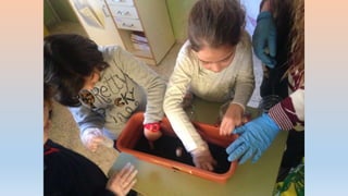 Photos 2nd term 2ºB