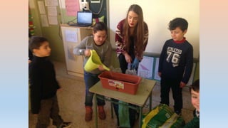 Photos 2nd term 2ºB