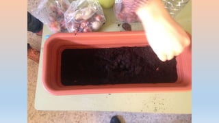 Photos 2nd term 2ºB