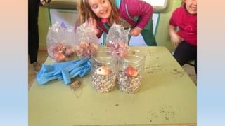 Photos 2nd term 2ºB