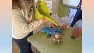 Photos 2nd term 2ºB