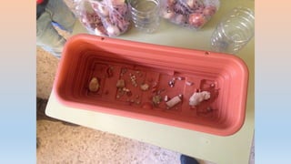 Photos 2nd term 2ºB