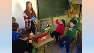 Photos 2nd term 2ºB