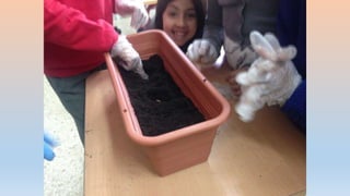 Photos 2nd term 2º C