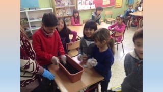 Photos 2nd term 2º C