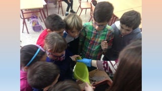 Photos 2nd term 2º C