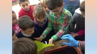 Photos 2nd term 2º C