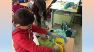 Photos 2nd term 2º C