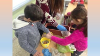 Photos 2nd term 2º C