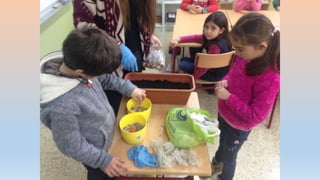 Photos 2nd term 2º C