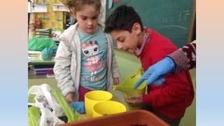 Photos 2nd term 2º C