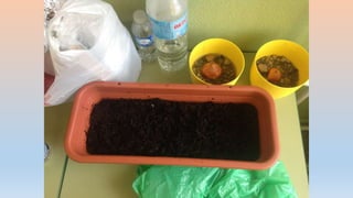 Photos 2nd term 2º C