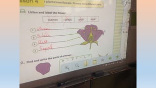 Photos 2nd term 2º C