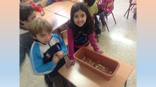 Photos 2nd term 2º C