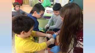 Photos 2nd term 2º C