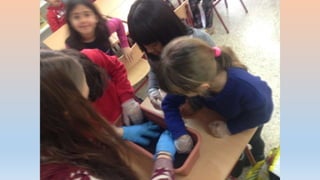 Photos 2nd term 2º C