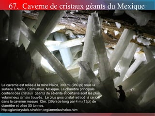 67. Caverne de cristaux géants du Mexique 
La caverne est reliée à la mine Naica, 300 m. (980 pi) sous la 
surface à Naica, Chihuahua, Mexique. La chambre principale 
contient des cristaux géants de sélénite et certains sont les plus 
volumineux jamais trouvés. Le plus gros cristal retracé à ce jour 
dans la caverne mesure 12m. (39pi) de long par 4 m.(13pi) de 
diamêtre et pèse 55 tonnes. 
http://giantcrystals.strahlen.org/america/naica.htm 
 