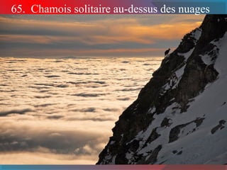 65. Chamois solitaire au-dessus des nuages 
 