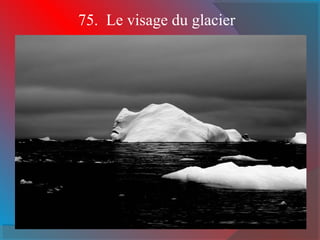 75. Le visage du glacier 
 