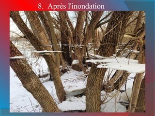 8. Après l'inondation 
 
