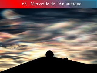 63. Merveille de l'Antarctique
 