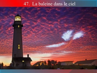 47. La baleine dans le ciel
 