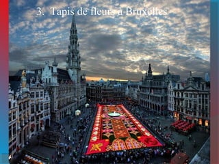 3. Tapis de fleurs à Bruxelles
 