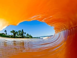 Unusual, over-saturated colors show up inside crystal clear waves, reflecting
                     kaleidoscopic world around them:
 