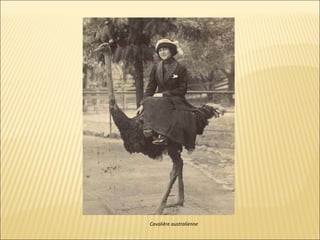 Cavalière australienne 