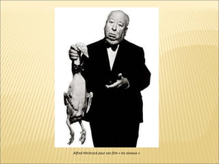 Alfred Hitchcock pour son film « les oiseaux » 